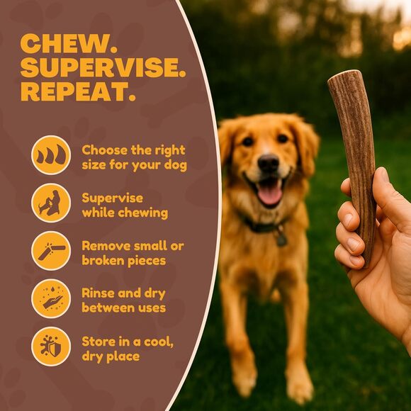 NWT WhiteTail Naturals - Deer Antlers for DogsThick-Medium- 1 PackAll Dog Chew - Picture 2 of 7